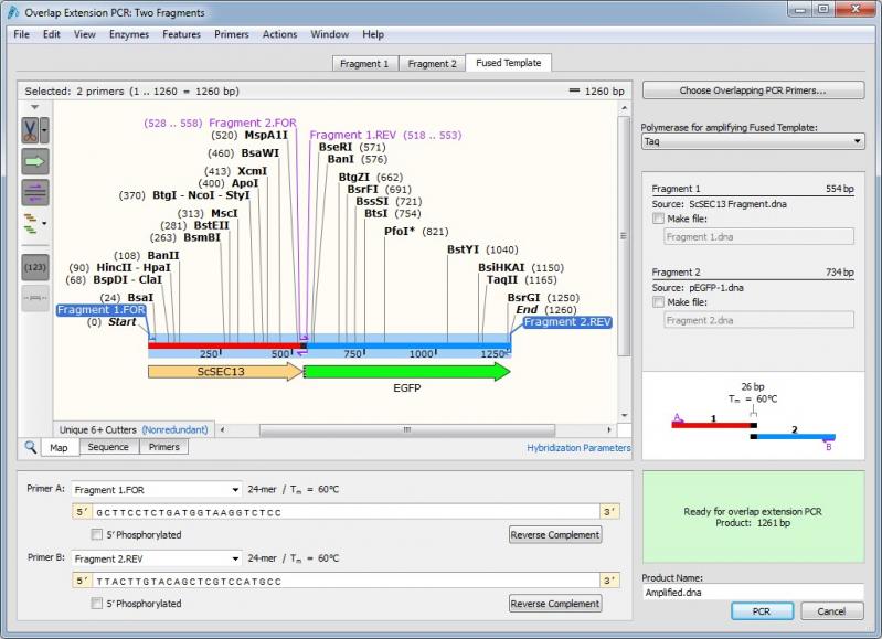 SnapGene Viewer screenshot