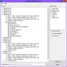 gMKVExtractGUI Screenshot