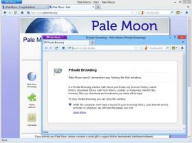 Pale Moon thumbnail