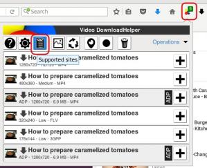 Video DownloadHelper Screenshot