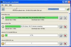 BitTorrent Screenshot