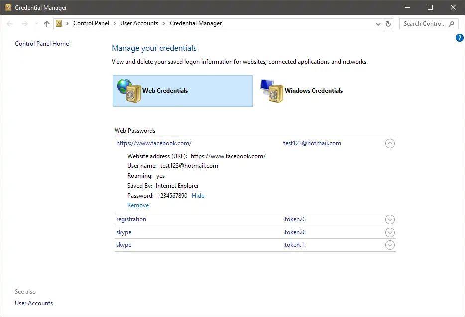 Credential Manager Password