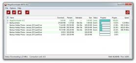 MegaDownloader Screenshot
