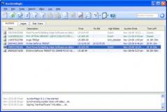 AuctionMagic Screenshot